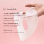Biodance Bio-Collagen Hydrating Overnight Mask Set
