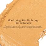 Organic Full Coverage Foundation Stick - Fair Birch