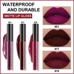 Dark Red Matte Liquid Lipstick Set - 3 Pcs