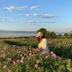 Rosense Rosewater Hydrating Facial Toner 6.8 Oz