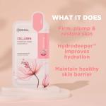 Korean Collagen Sheet Mask Set for All Skin Types