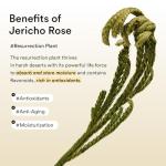 Abib Collagen Eye Patches with Jericho Rose Jelly