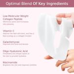 Duoffanny Bio-Collagen Deep Hydrating Hydrogel Mask