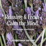 Dr. Bronner's Lavender Pure-Castile Bar Soap, 2 Pack