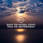 O Naturals Cedarwood Exfoliating Soap for Men