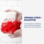 Huron Citrus Eucalyptus Hydrating Bar Soap Set