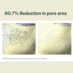 Pyunkang Yul Calming Trial Set for Radiant Skin