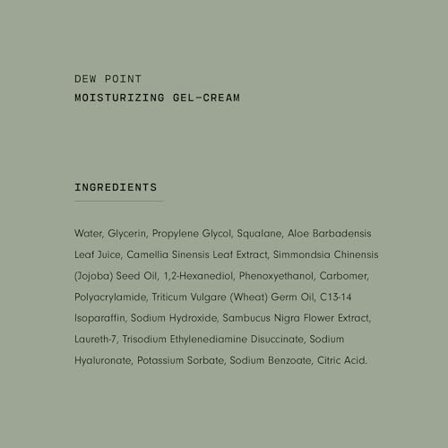 Versed Dew Point Gel Cream Moisturizer - Antioxidant-Rich
