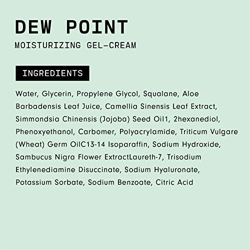 Versed Dew Point Gel Cream Moisturizer - Antioxidant-Rich