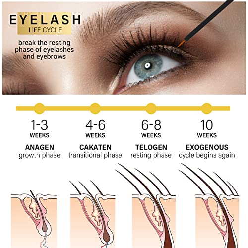 Organic Eyelash Growth Serum - Fuller, Longer Lashes