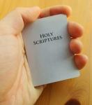 Jehovah's Witness Bible Sticky Notes - 24 Pads