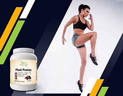 Zen Plant Protein-Chocolate 1.1LB - 23g Protein -Vegan, Gluten-Free