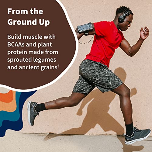 Garden of Life Vegan Protein Powder - Plant-Based Formula
