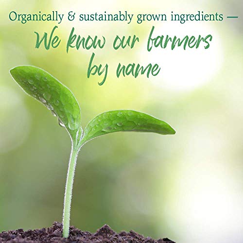 Organic Energizing Green Superfood Powder with Probiotics
