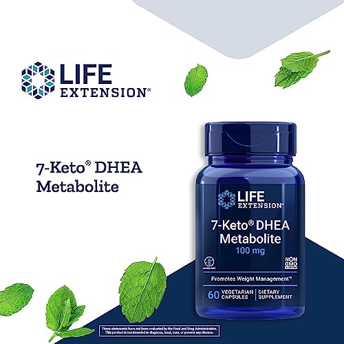 7-Keto DHEA Capsules for Boosted Fat Burning