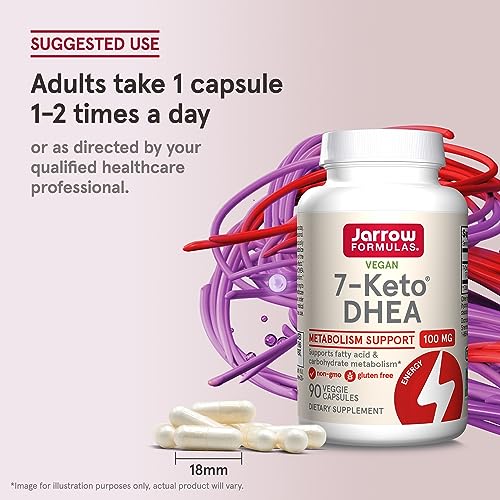 Vegan 7-Keto DHEA Supplement - Carbohydrate Metabolism Support