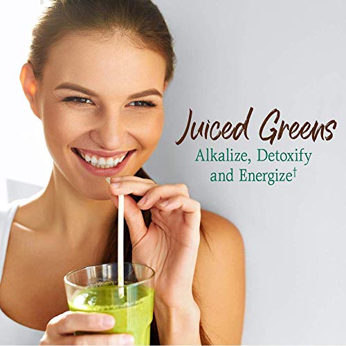 Raw Organic Perfect Food Green Superfood - Chocolate, 30 Servings