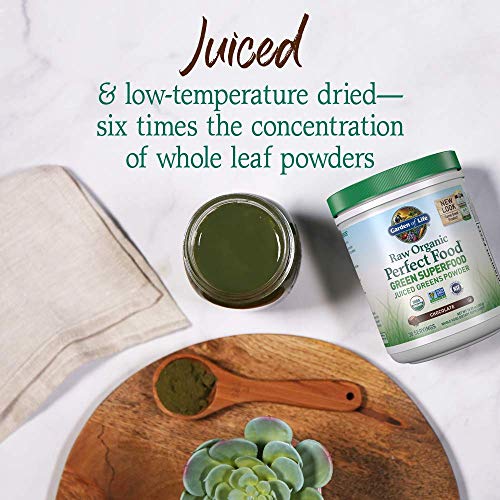 Raw Organic Perfect Food Green Superfood - Chocolate, 30 Servings