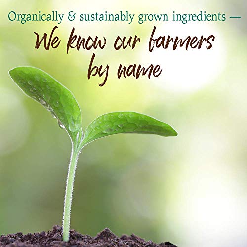 Raw Organic Perfect Food Green Superfood - Chocolate, 30 Servings