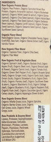 Organic Raw Meal Chocolate by Garden Of Life
