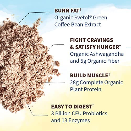 Organic Chocolate Vegan Protein Powder for Weight Management