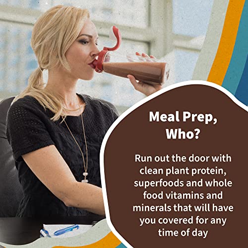 Organic Chocolate Vegan Meal Replacement Shake with Probiotics