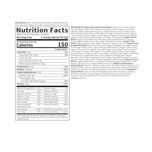 Organic Chocolate Vegan Meal Replacement Shake with Probiotics