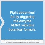 AMPK Metabolic Activator for Belly Fat, 30 Vege Tablets
