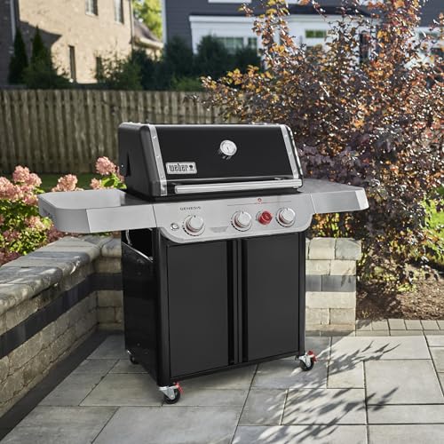 Genesis E-325 Black Propane Grill Smoker