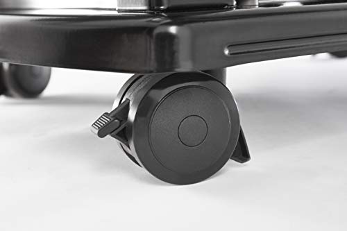 Weber Spirit SP-335 Stainless Steel Gas Grill - 3 Burner, 32000 BTUs