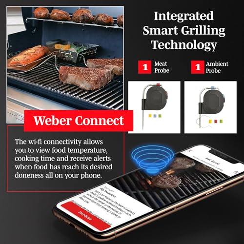 Weber Genesis II SX-335 Gas Grill, Stainless Steel