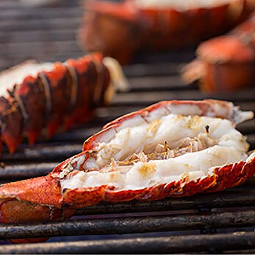 Weber Summit S-460 Stainless Steel Built-In Propane Grill