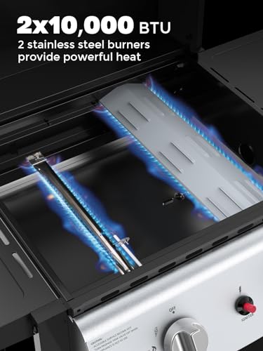 Cowsar Stainless Steel 2-Burner Gas Grill with Sides