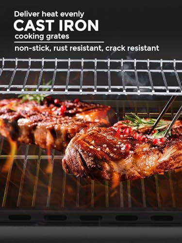 Cowsar Stainless Steel 2-Burner Gas Grill with Sides