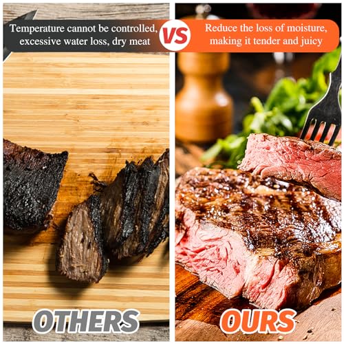 Portable Wood Pellet Grill & Smoker for RV Tailgating