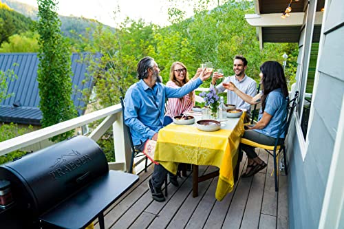 Traeger Tailgater Portable Electric Wood Pellet BBQ Grill