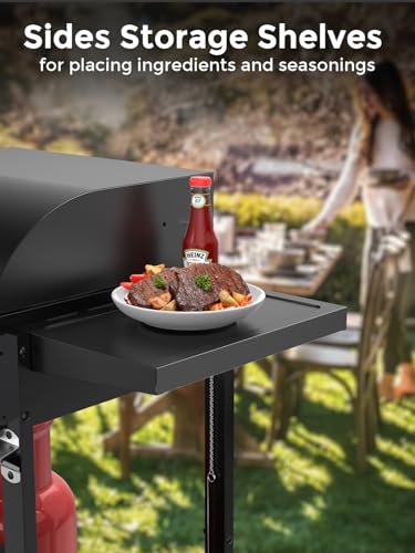 Cowsar Stainless Steel 2-Burner Gas Grill with Sides