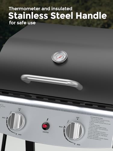 Cowsar Stainless Steel 2-Burner Gas Grill with Sides