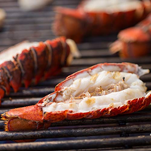 Weber Summit S-670 Gas Grill for Liquid Propane