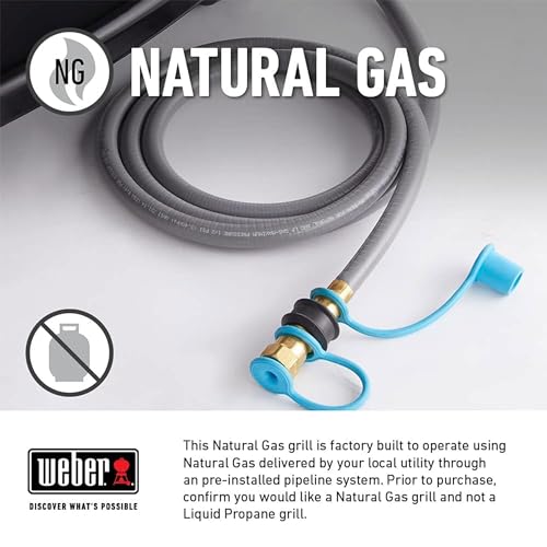 Weber Genesis II EX-335 Gas Grill in Black