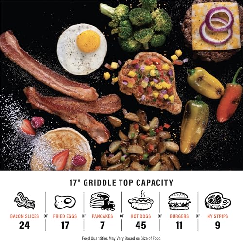 Blackstone 1971 17” Tabletop Griddle - Stainless Steel