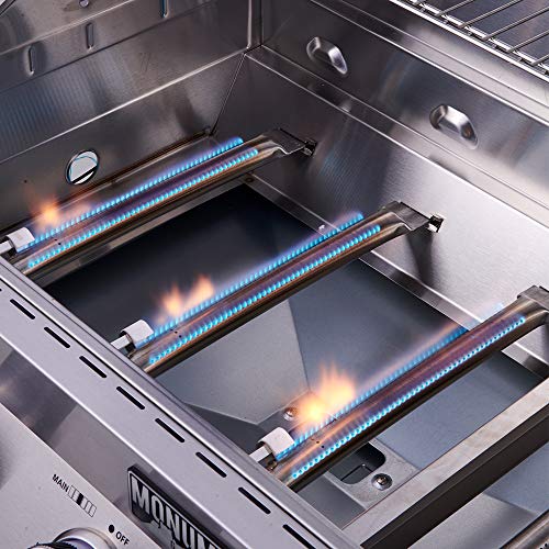 Monument 4-Burner Propane Gas Grill with Side Burners