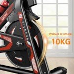 Jupgod Indoor Cycling Bike with Silent Flywheel