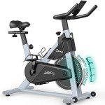PASYOU S30: Magnetic Resistance Stationary Bike for Home