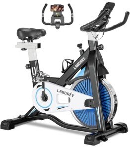 LABGREY Indoor Cycling Exercise Bike with Heart Rate Sensor