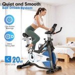 LABGREY Indoor Cycling Exercise Bike with Heart Rate Sensor