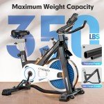 LABGREY Indoor Cycling Exercise Bike with Heart Rate Sensor