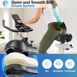 LABGREY Indoor Cycling Exercise Bike with Heart Rate Sensor