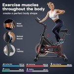 DMASUN Indoor Exercise Bike with LCD Display