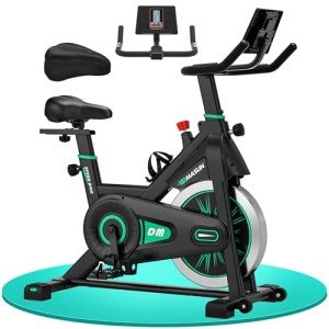 DMASUN Indoor Exercise Bike with LCD Display & Holder